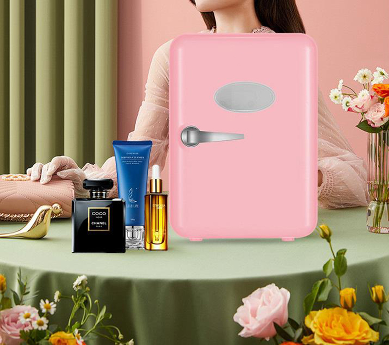 ثنائي الاستخدام 4L المنزل سيار - مراجعة Beauty Makeup Fridge وسعره