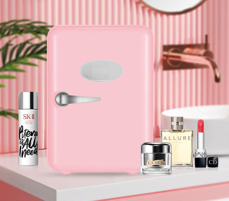 ثنائي الاستخدام 4L المنزل سيار - مراجعة Beauty Makeup Fridge وسعره